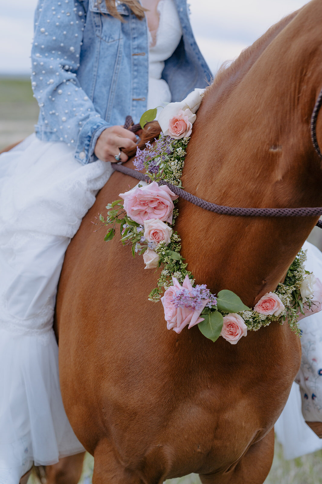 Carly-Patrick-Sheridan-Wyoming-Elopement-335