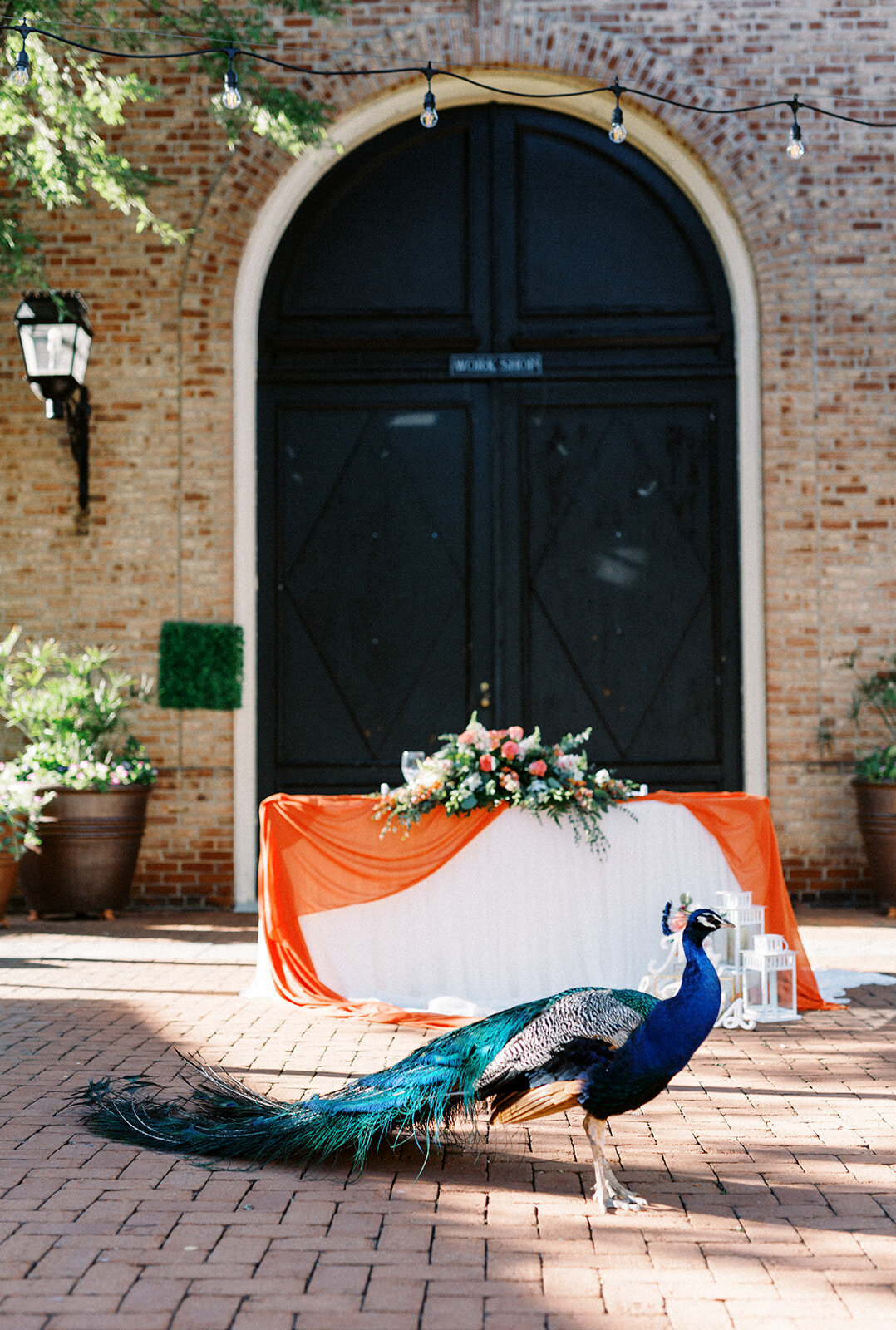 Lila & Rob Wedding_Kingwood Center Gardens-602
