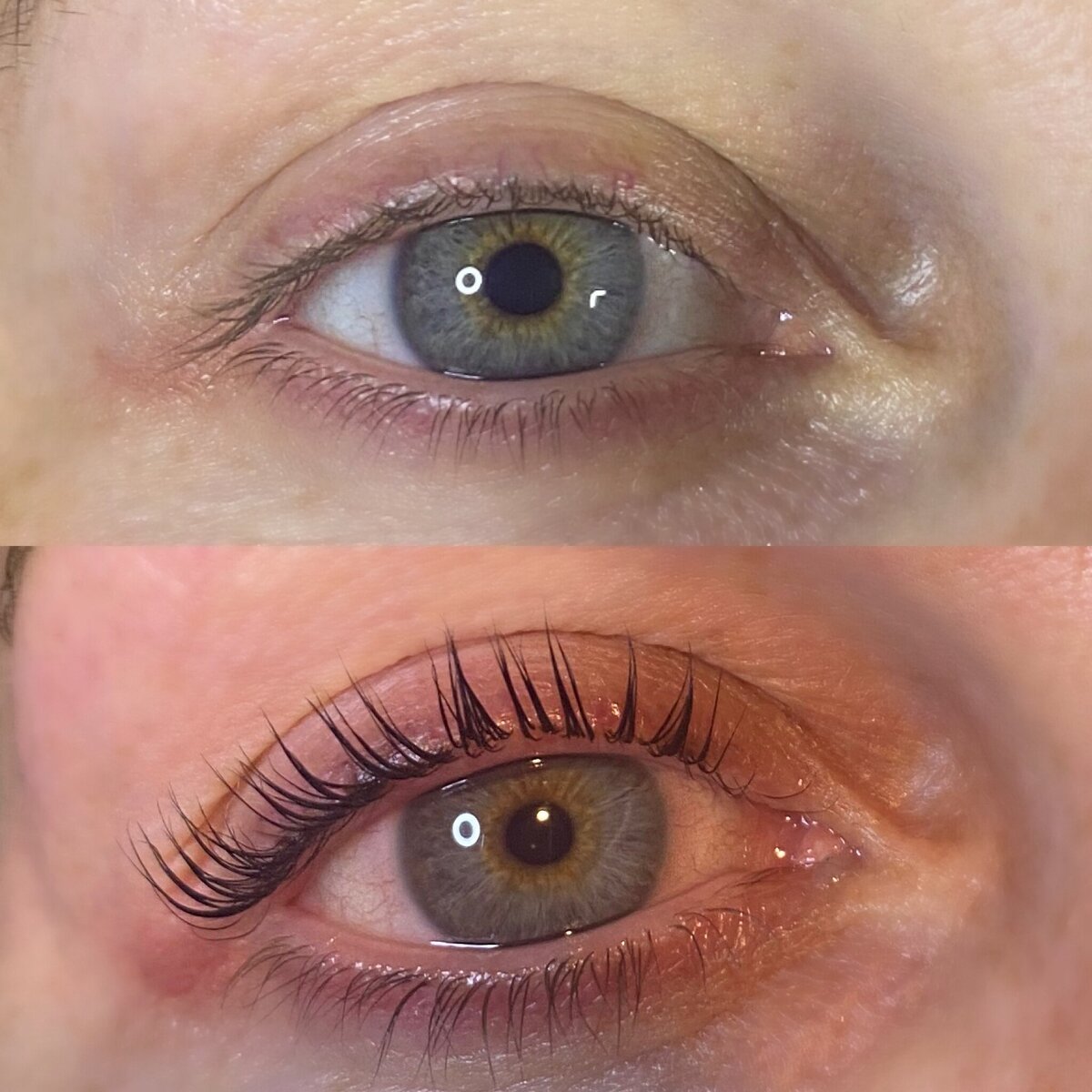 lash4