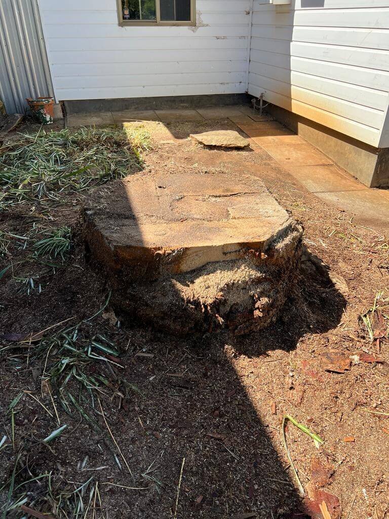 Evergreen Tree Services SA-Stump Grinding-002