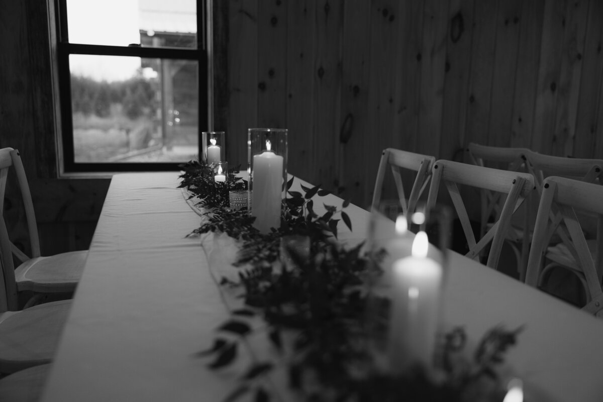 Bierschenk Wedding-379