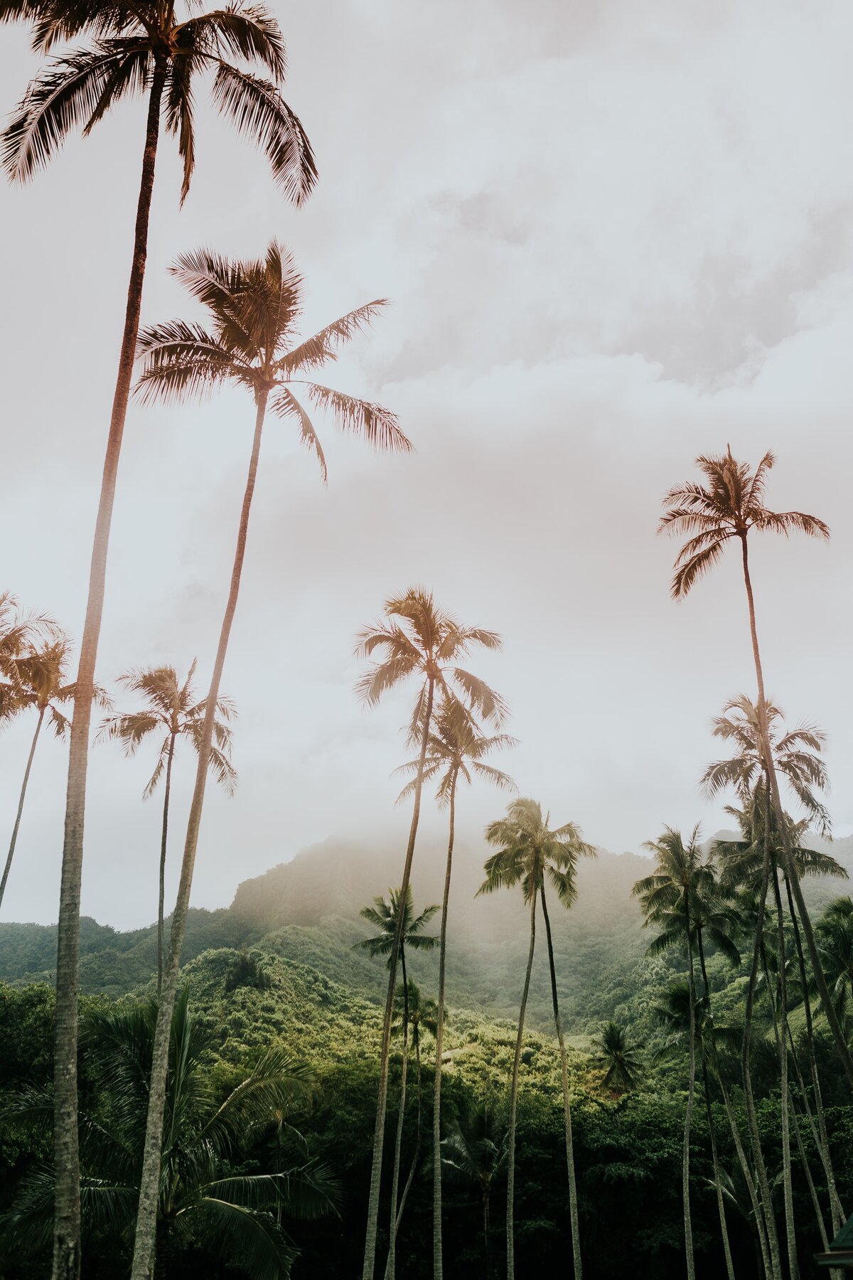 cole-keister-eLkIMnp1G-s-unsplash