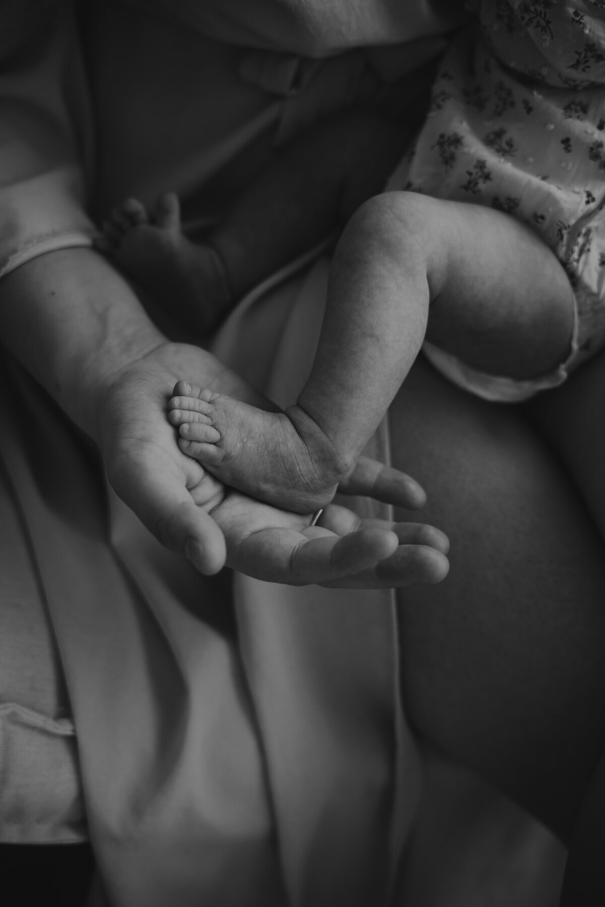 Frombumptobaby-newborn-baby-38