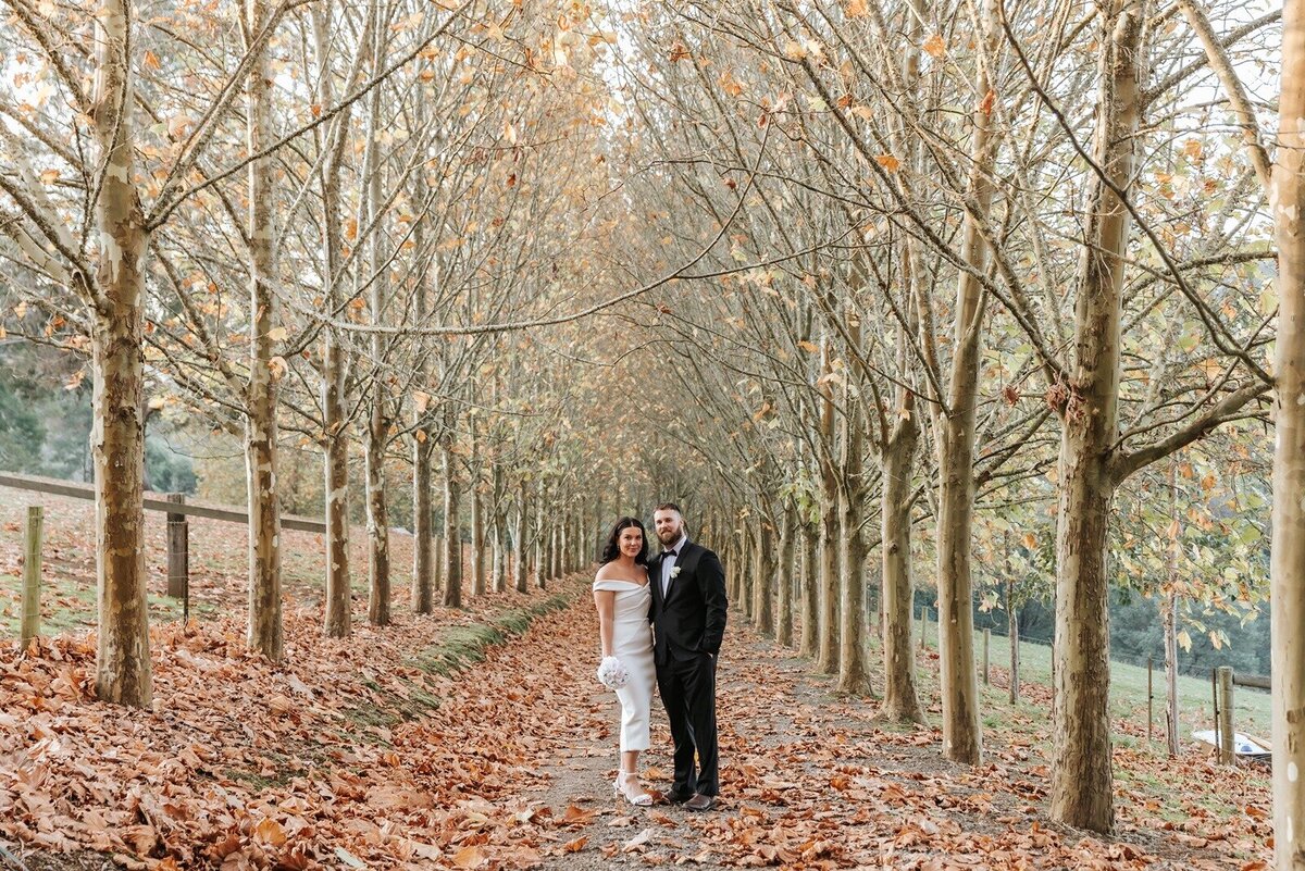 Elope-small-micro-wedding-elopement-yarra-ranges-mont-du-soleil89
