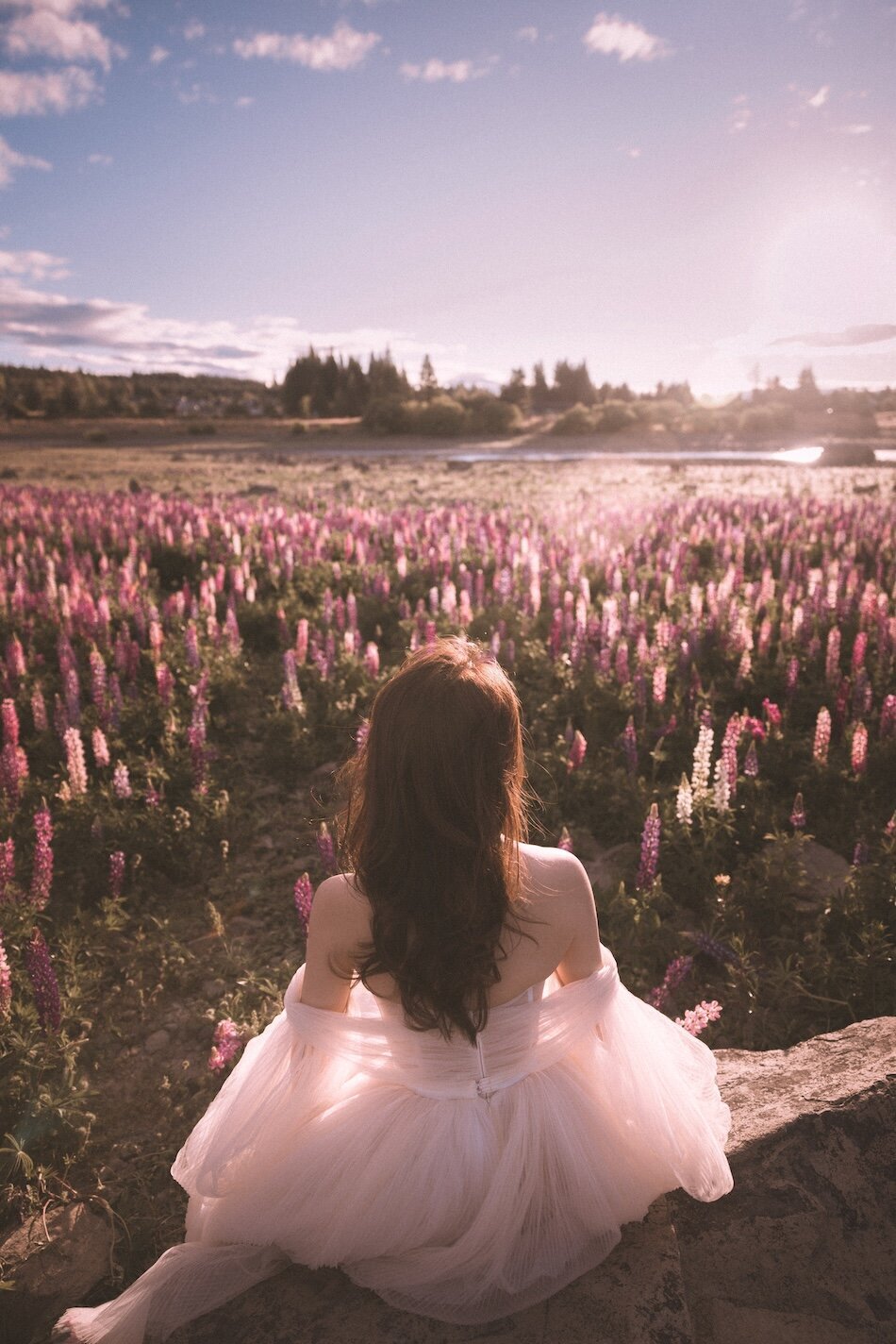 Pre-wedding photoshoot, the lupins, Lake Tekapo. Galia Lahav Haute Couture gown.