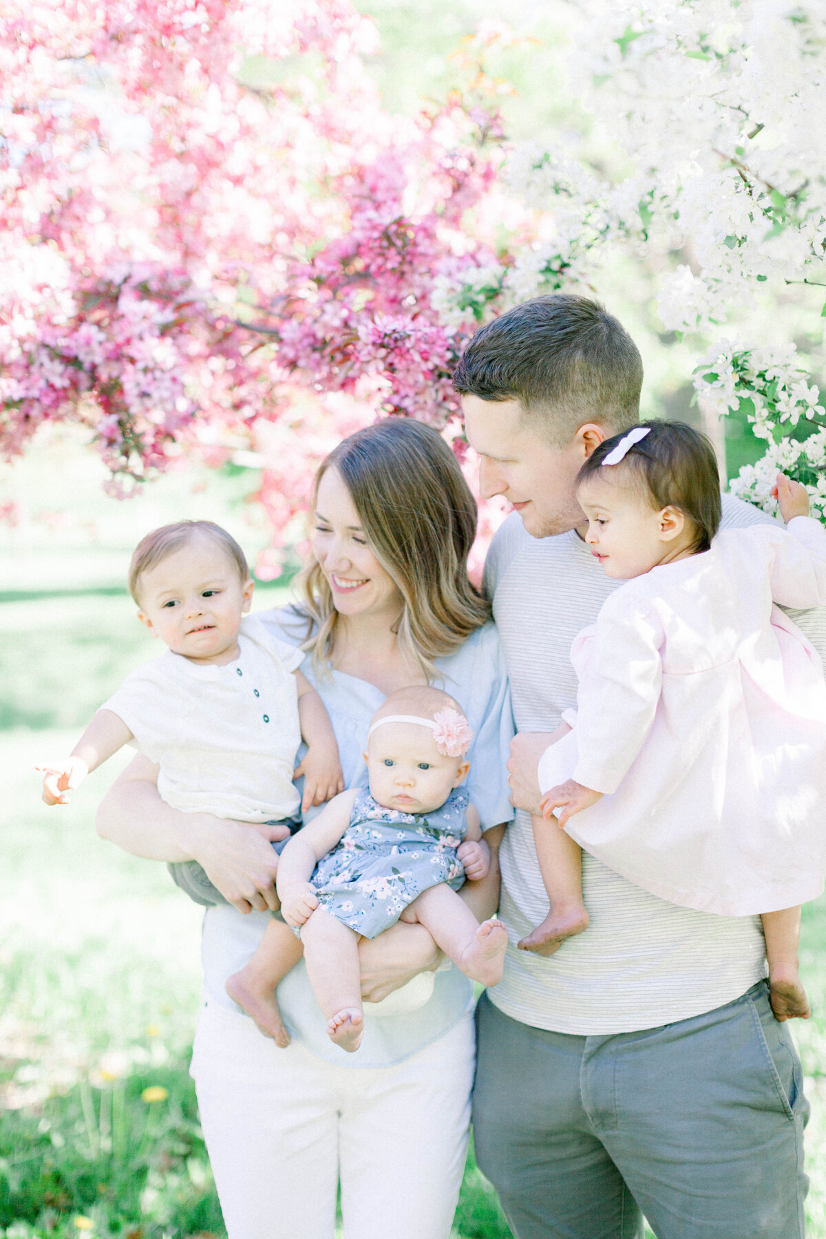 Spring family photography with the blooming trees at Lake Harriet Rose Gardens
