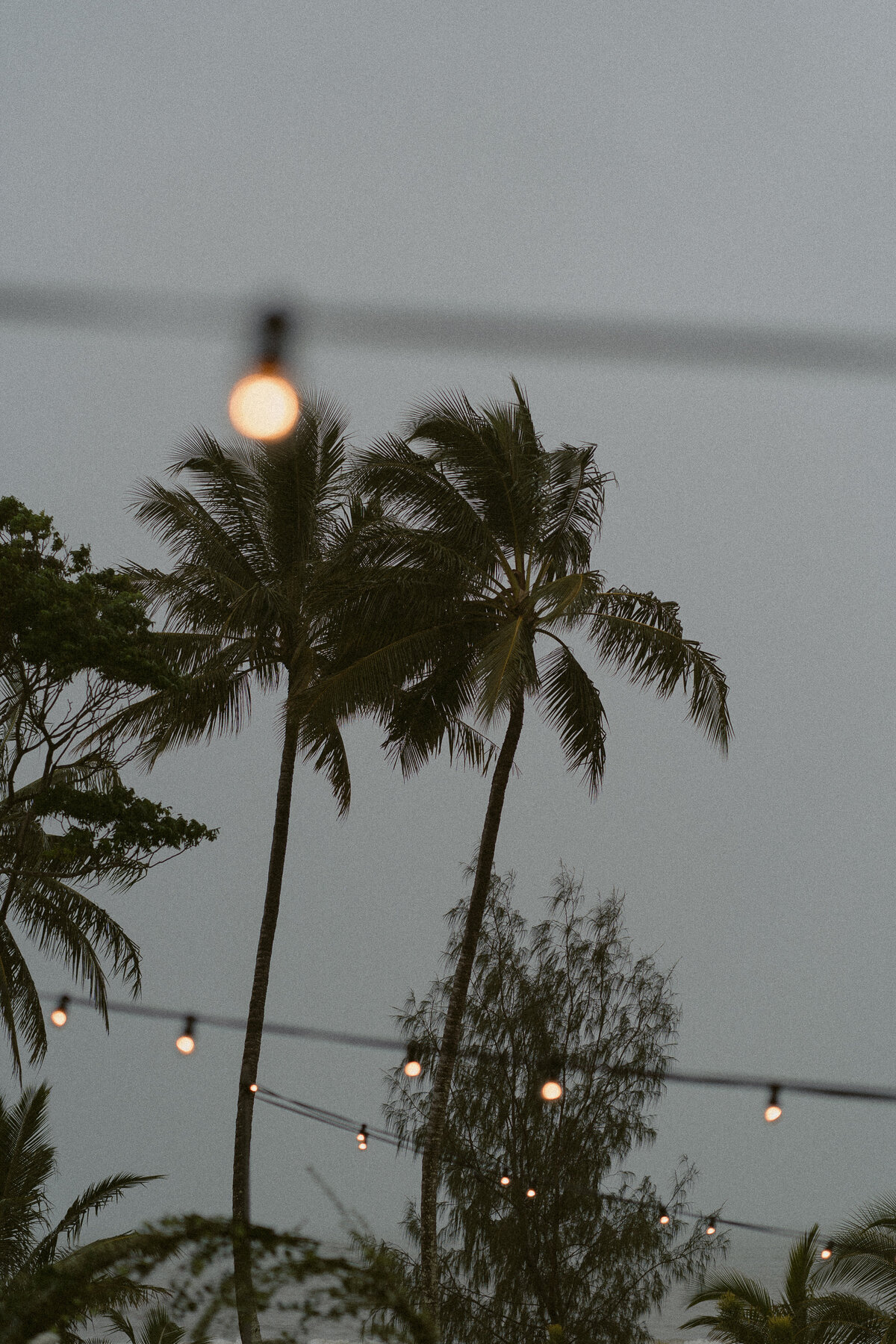 ankebi-photography-1-52