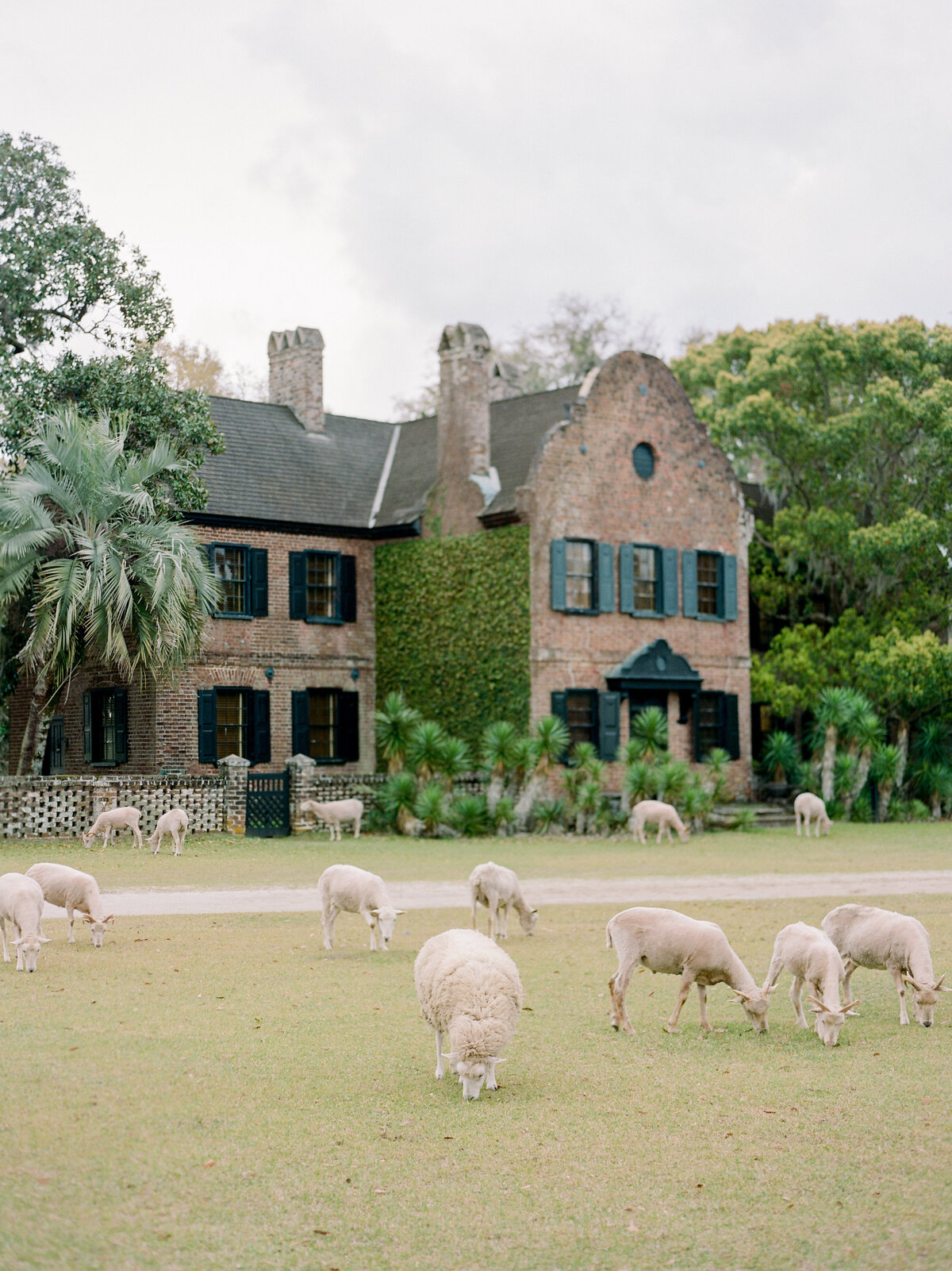 Marissa & Jarret Ceremony-2