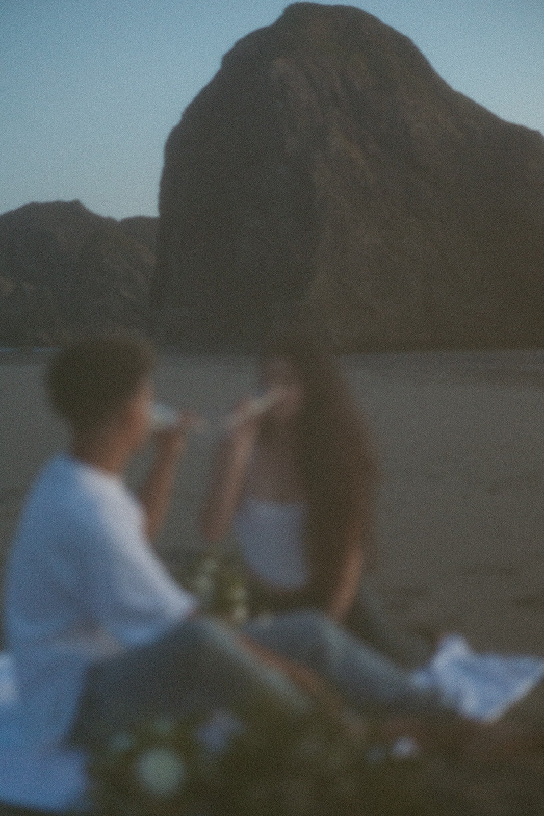 tanya-davids-photo-film-redwoods-california-oregon-coast-documentary-candid-destination-washington-idaho-utah-canada-elopement-wedding-couples-photographer-87
