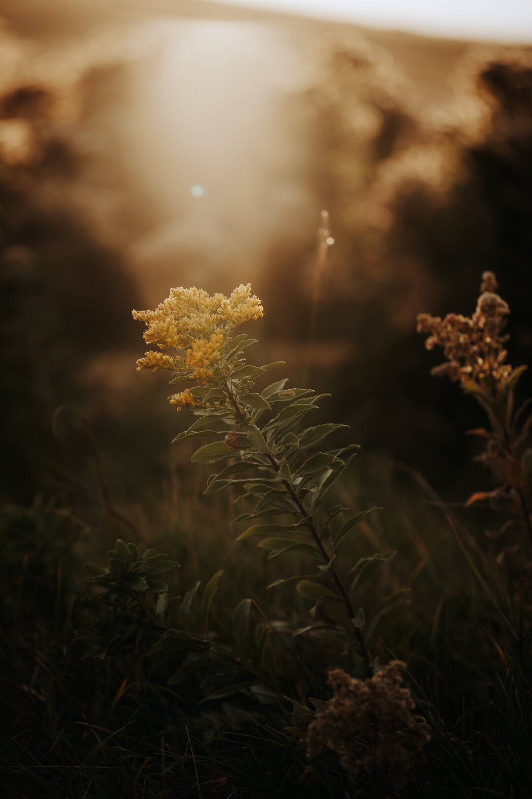 EDP Wildlife-221010-067