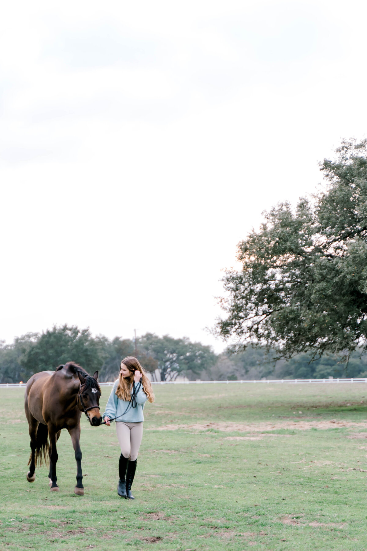 Steph horses-46