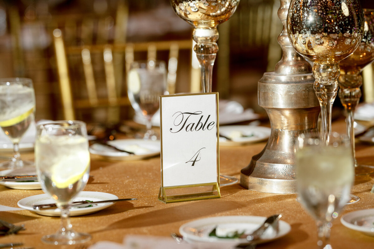 Berlez-Aspen-Avenue-Chicago-Wedding-Photographer-Windy-City-Wedding-Dance-Fulton-West-Event-Christmas-Session-113