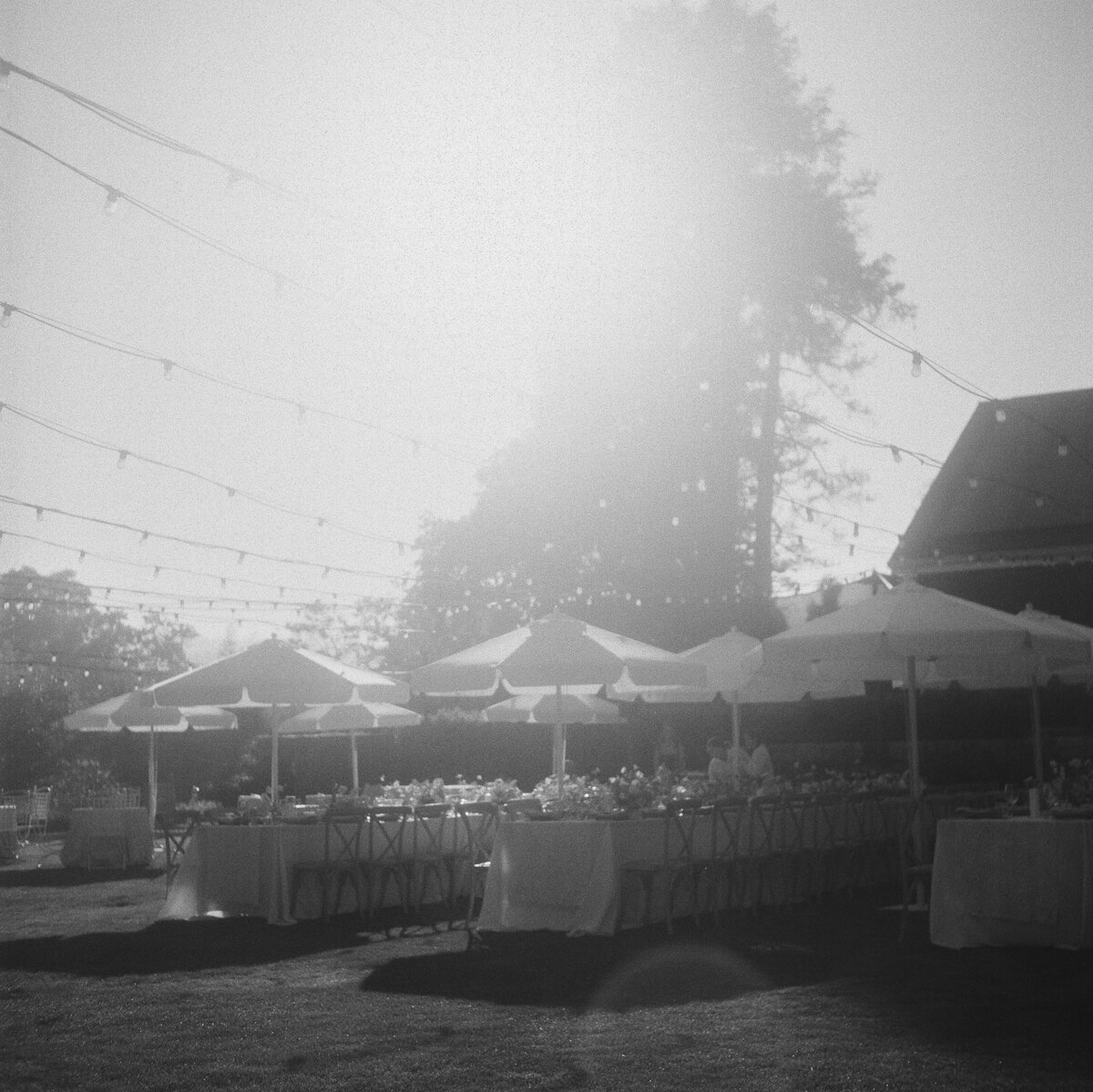 napa-documentary-best-photographer-wedding-dejauregui-photography-23