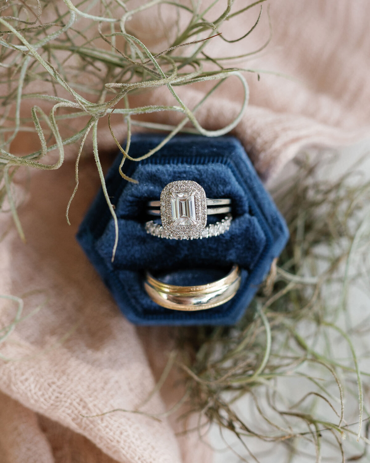Wedding At Runnymede Plantation, Charleston, SC