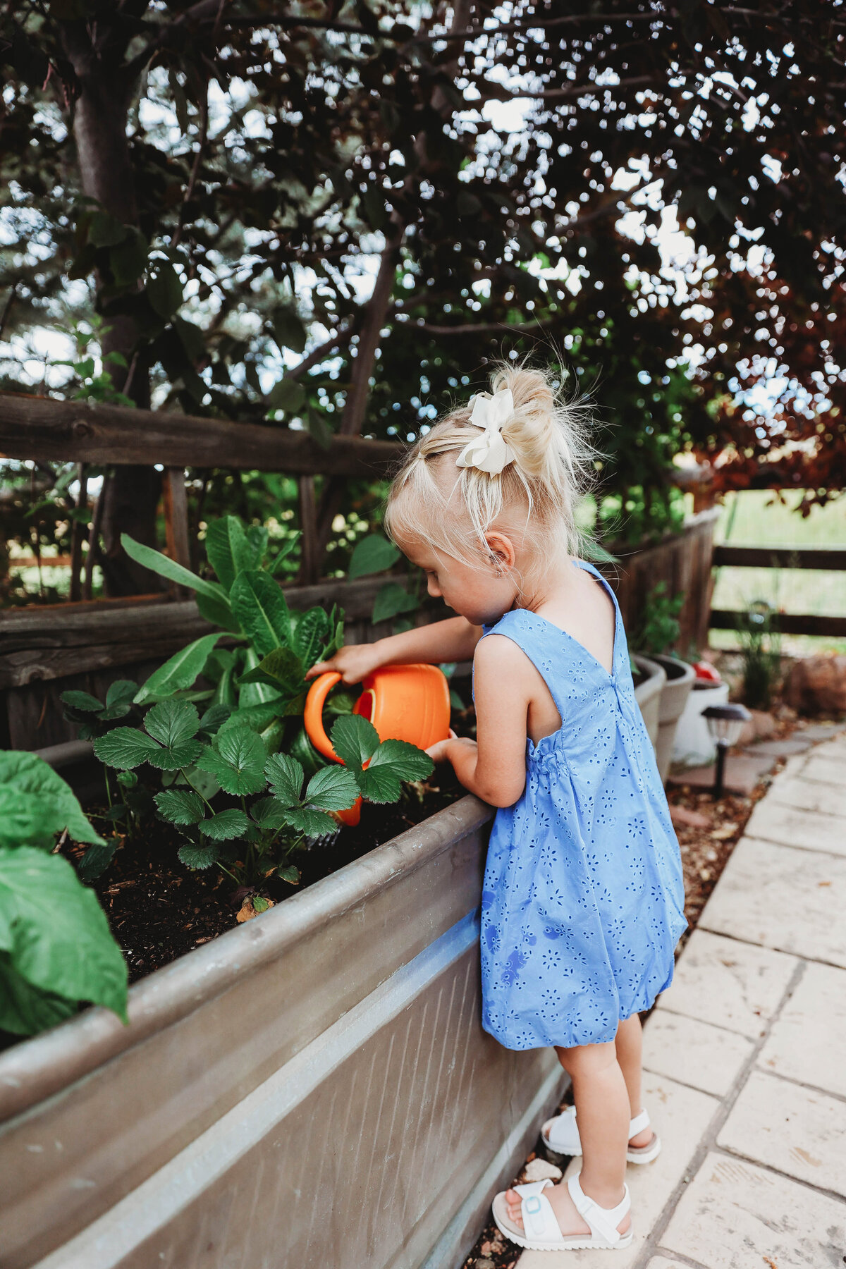 CactusandPinesPhotography_CastleRockFamilyPhotographer_MoyleHomegrown-33
