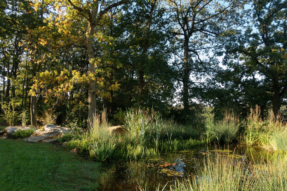 HORUS PAYSAGES_architecte paysagiste_yvelines_stanislas jung-10