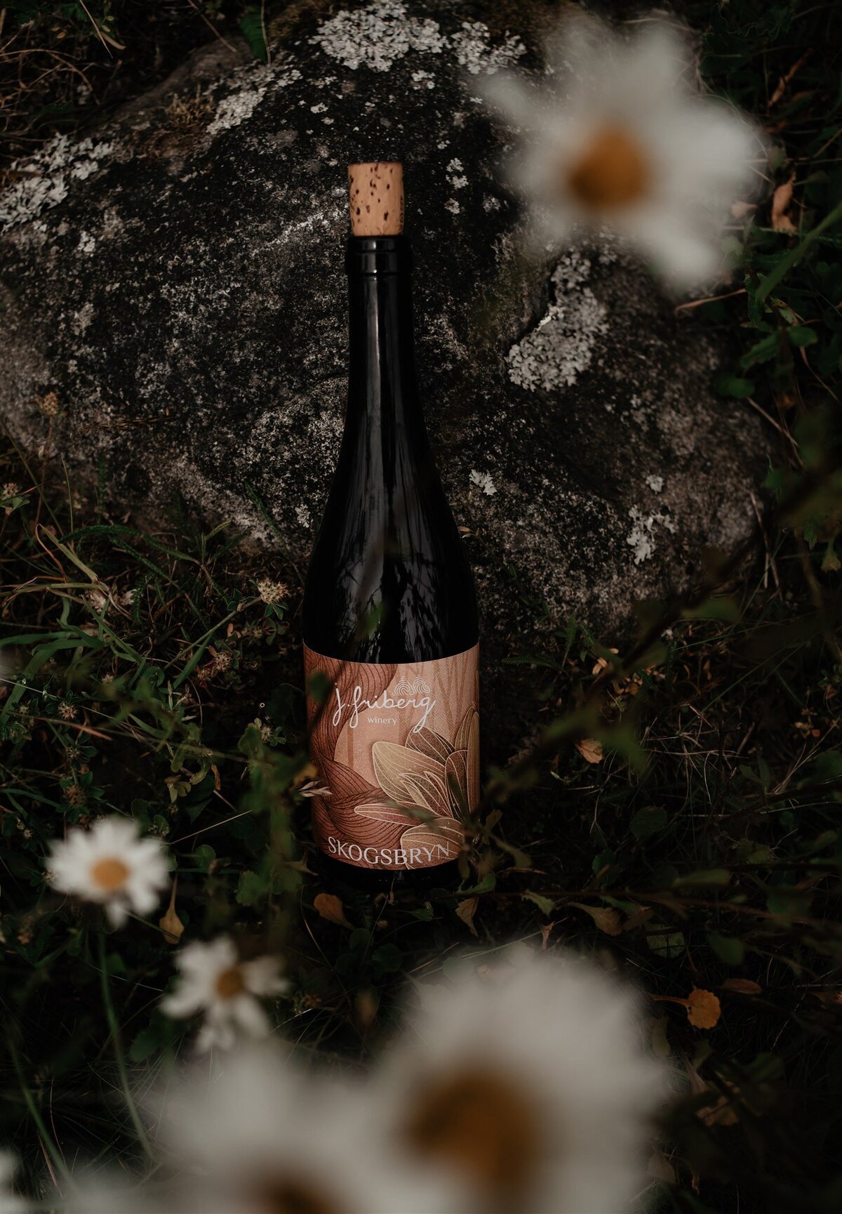 5C26F356-36BF-451A-AB55-D8F562F2A611