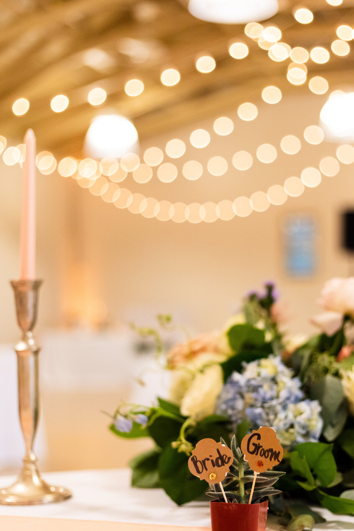 washington dc wedding photographer in charlottesville virginia