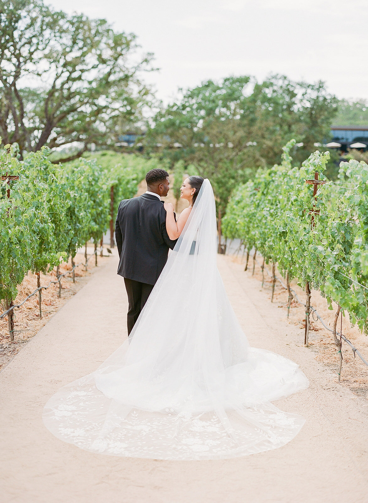 montage healdsburg vineyard portrait bride and groom