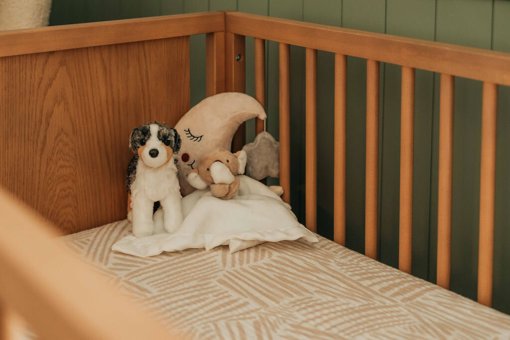 michigan newborn photography16