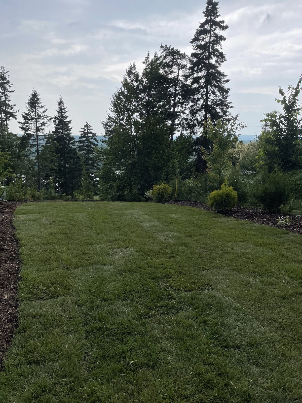 Ground Down Land Management - Halifax Excavation Services - Stone Landscaping Patio Work - sod installation - garden beds & mulch