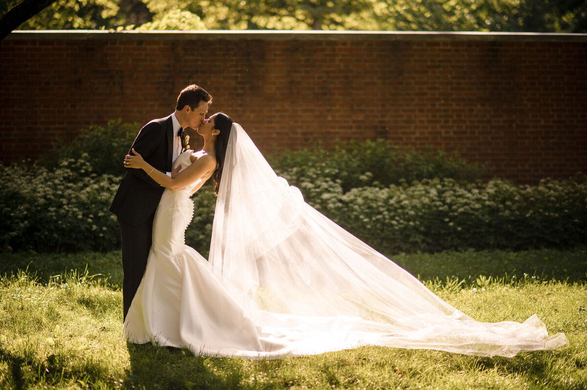 Veil Shot