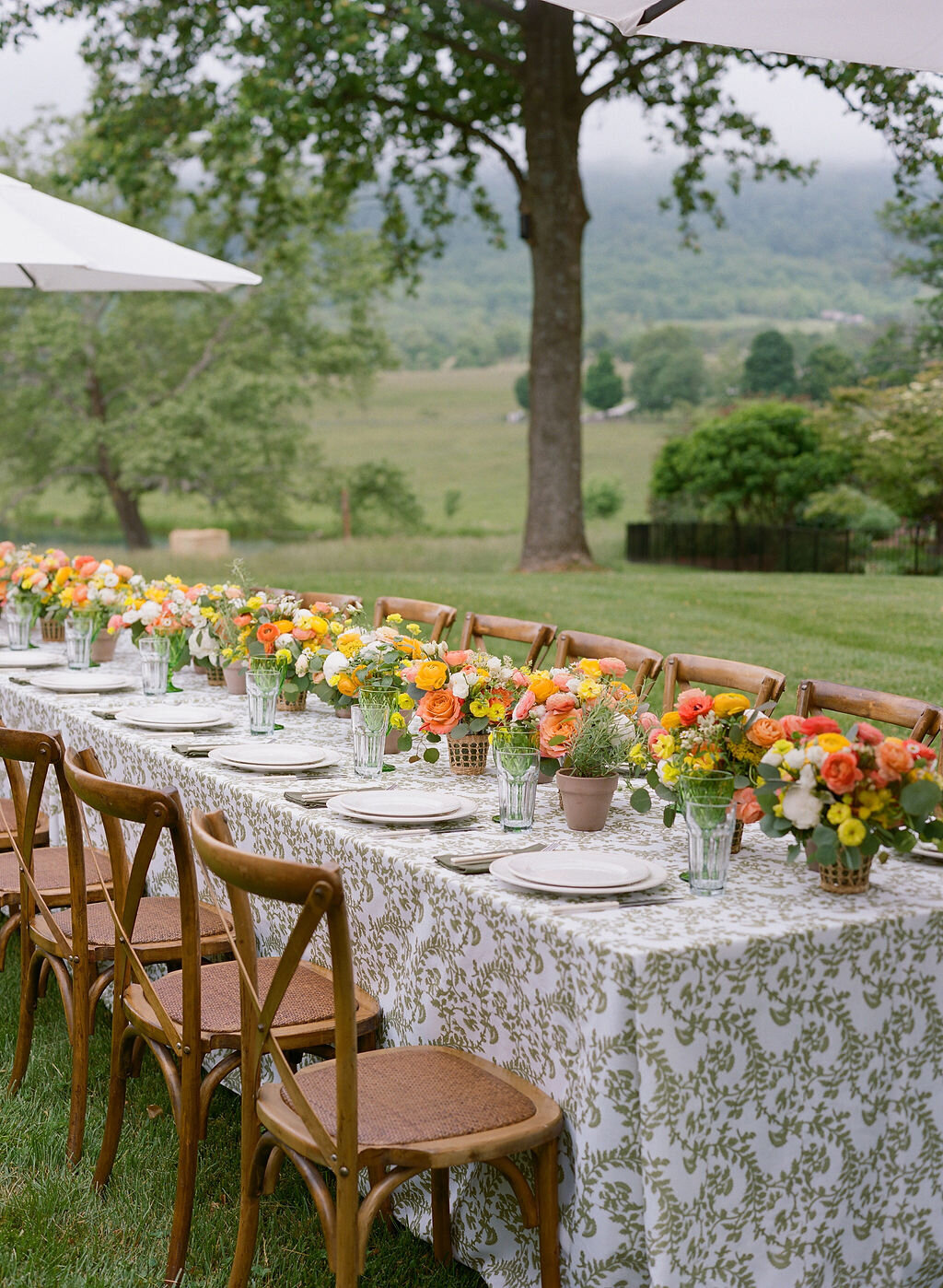 Special-Event-Planner-Glamping-Weekend-Virginia-000010870012