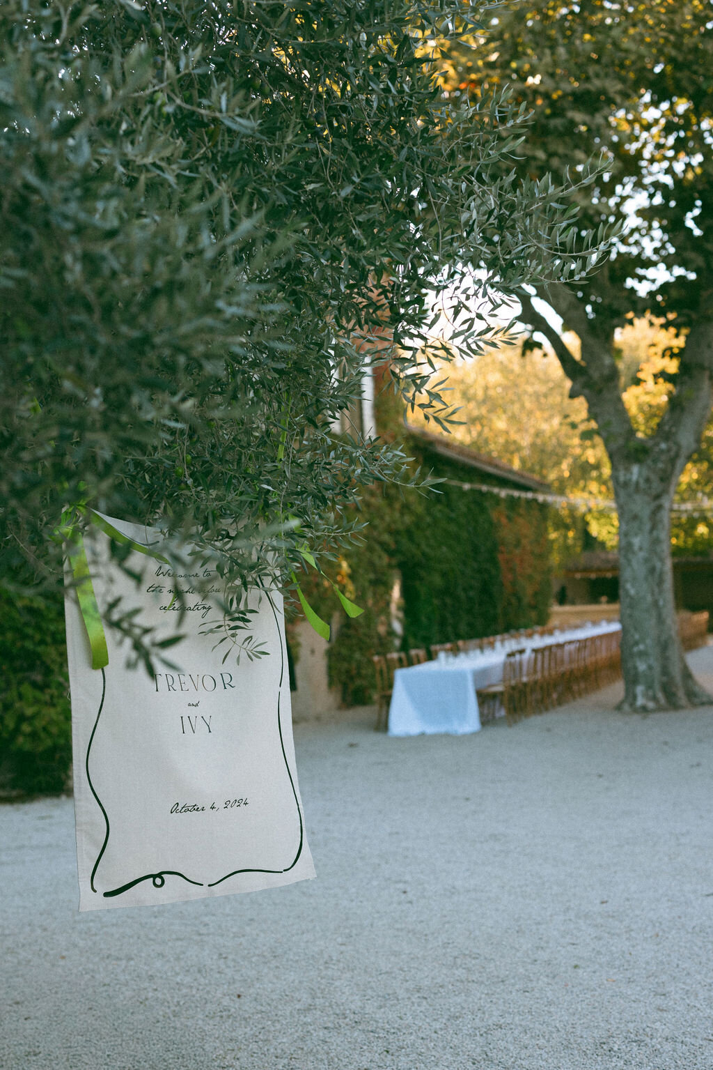 ivy-tre-12