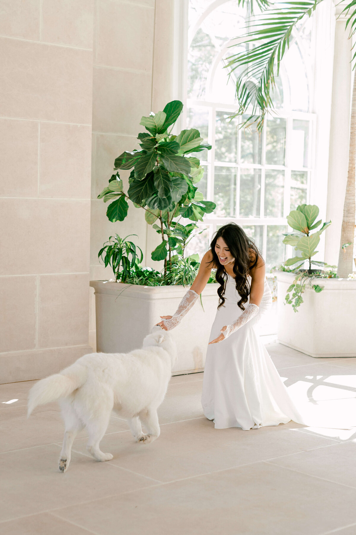 Bride having a first look with her dog on her wedding day at the Hey-Adams