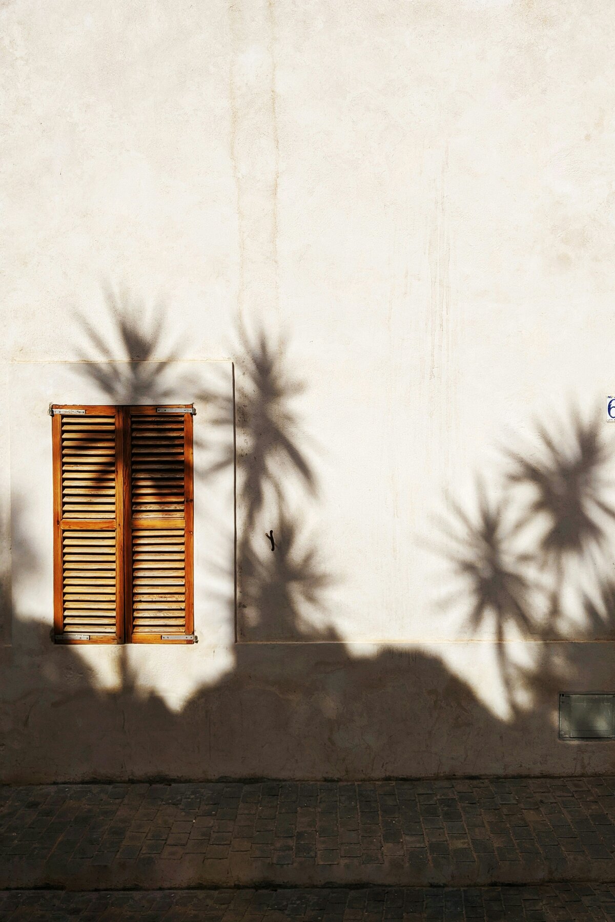 kadir-celep-23XqRslJgVI-unsplash