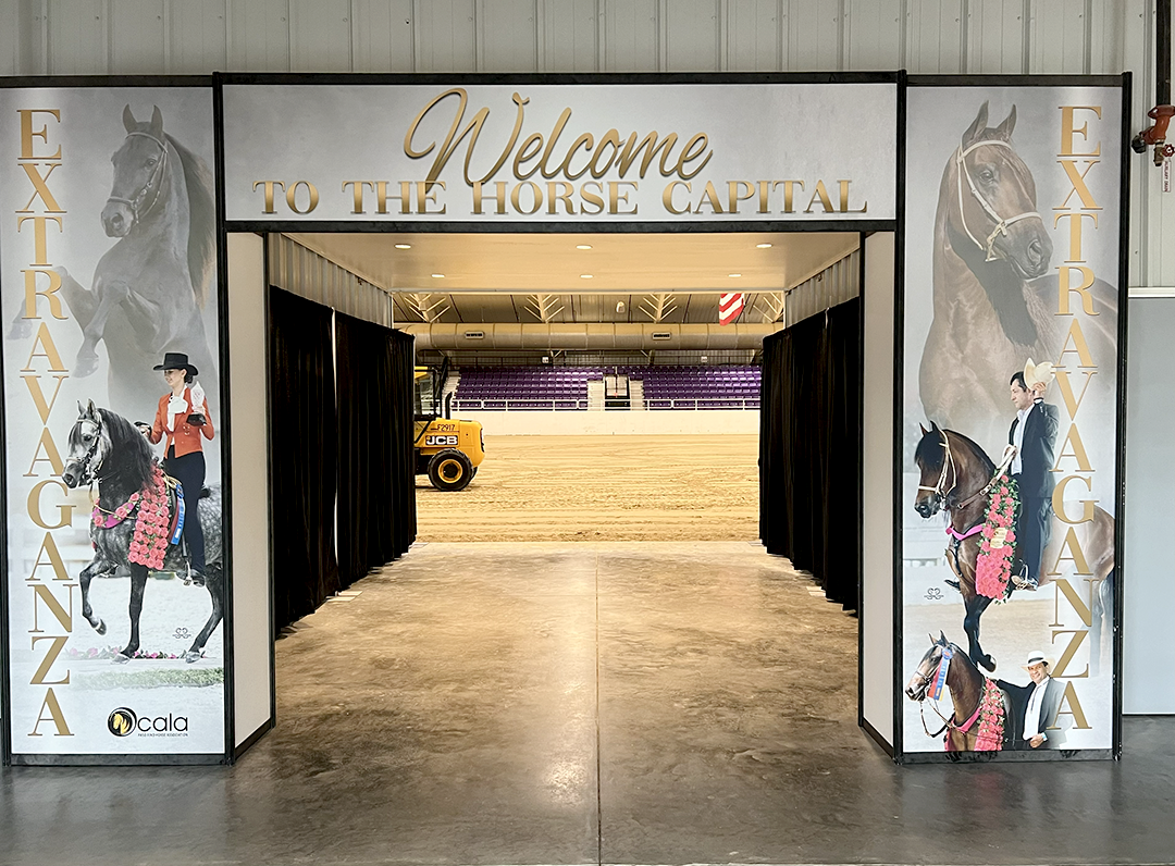 display-arc-paso-fino
