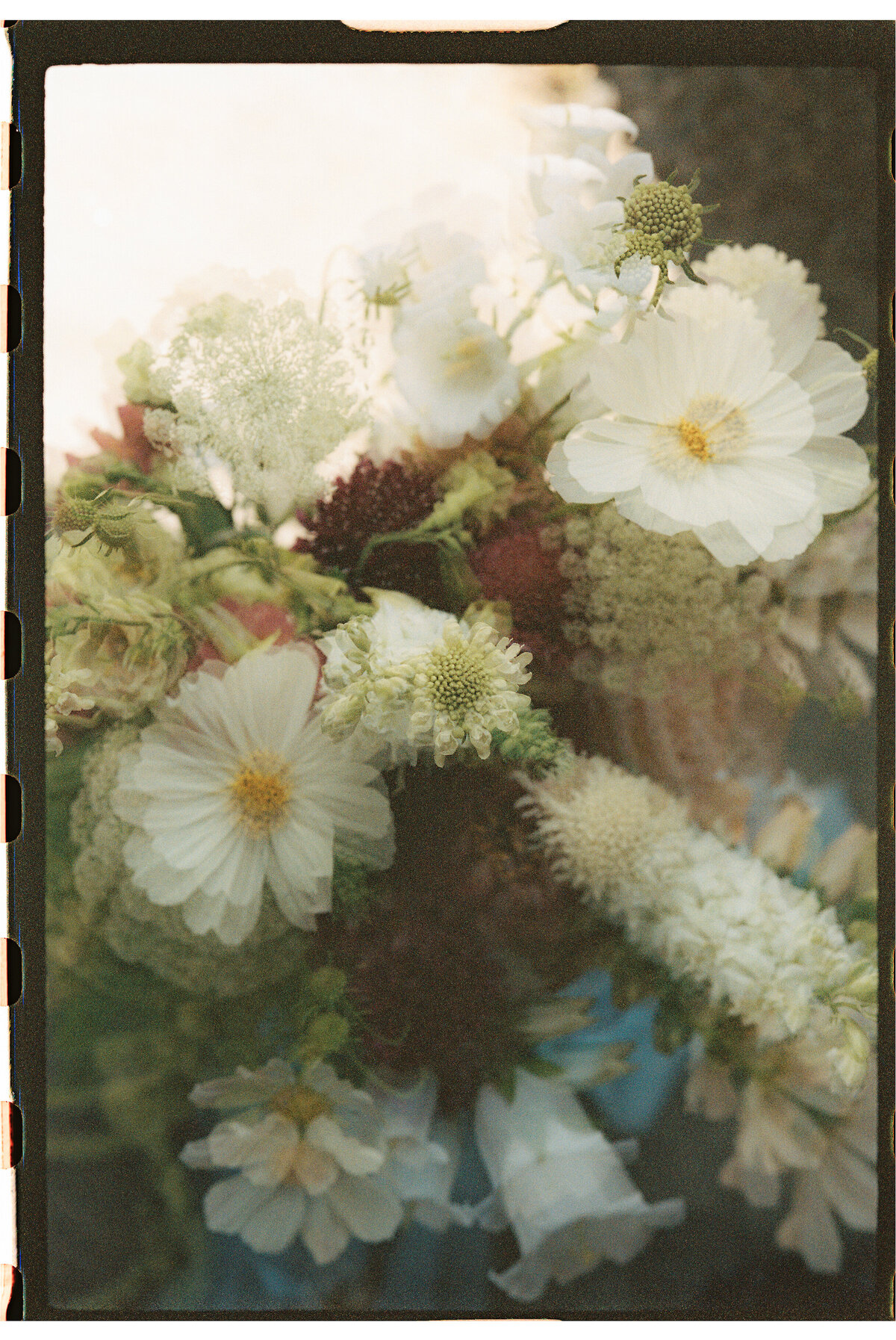 shana&jefffilmphotos-6