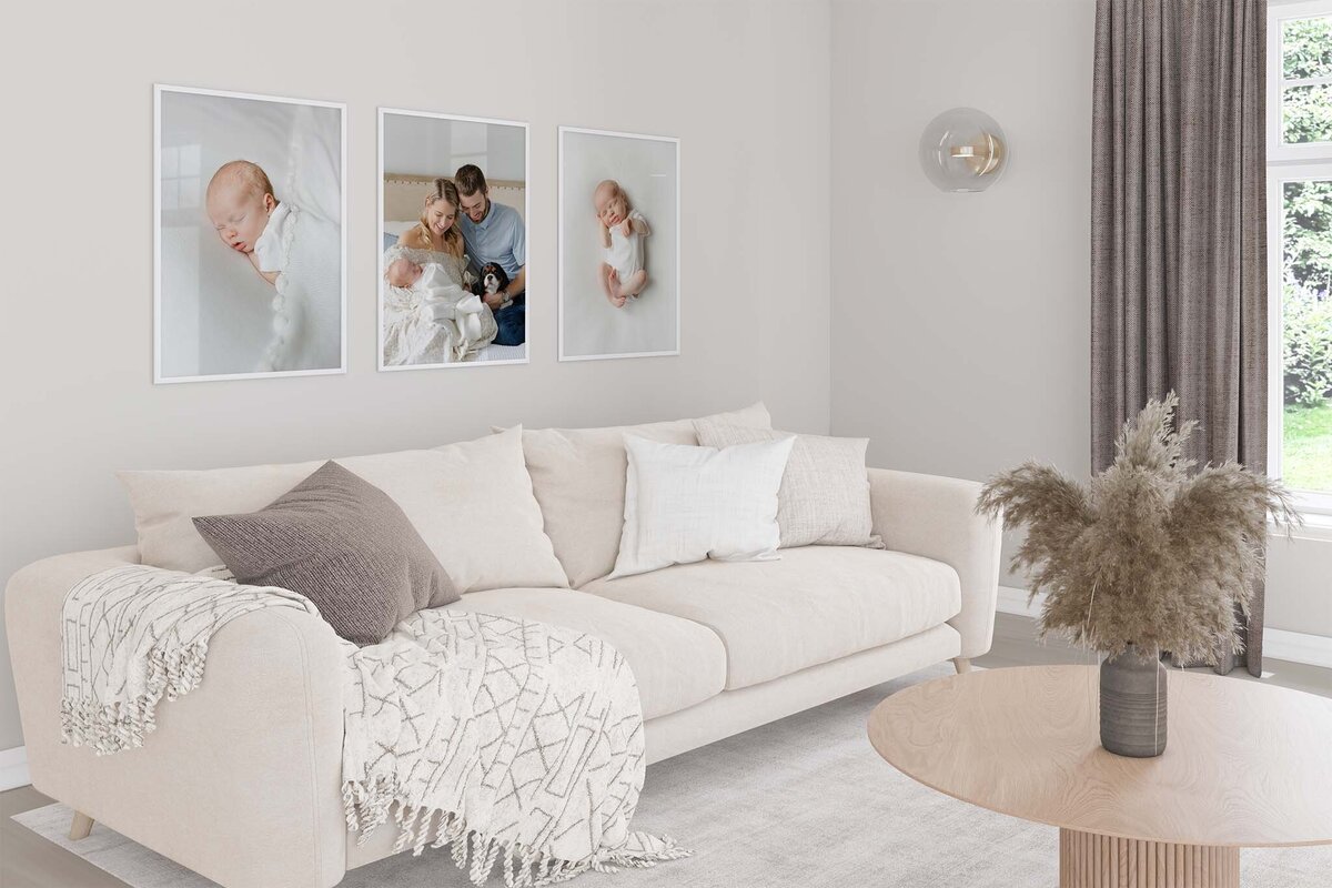 framed prints