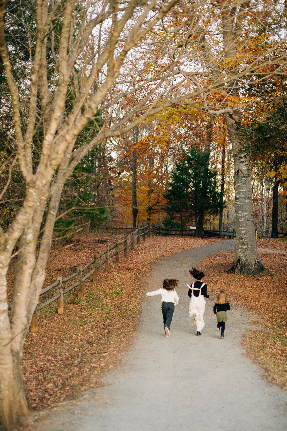 Charlotte-family-photographer-5