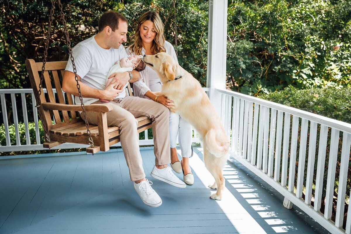 dog kissing baby long island newborn photographer