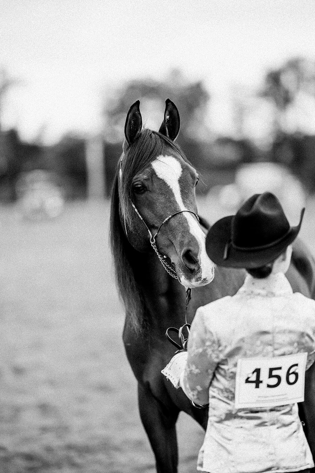 Equestrian Photography167