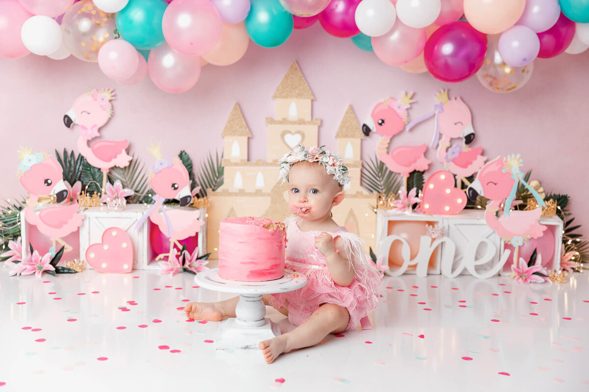 new-jersey-smash-cake-photographer-50