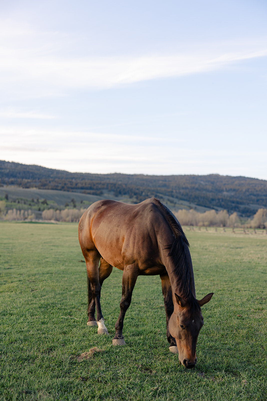 Diamond-cross-ranch-wedding-J-NFoxtails-photography-142