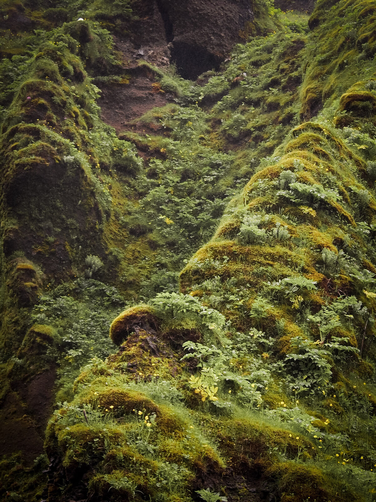 Iceland for Website-08