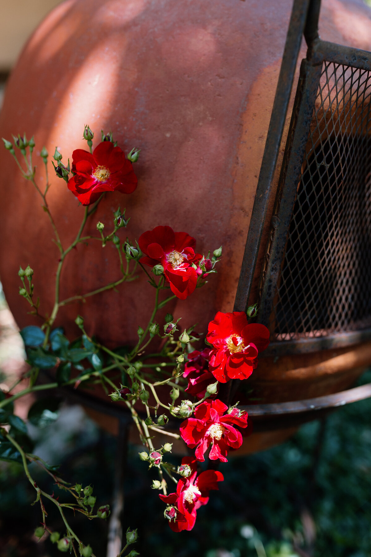 C+J_PREVIEWS_KAYLAESPARZAPHOTOGRAPHY-69
