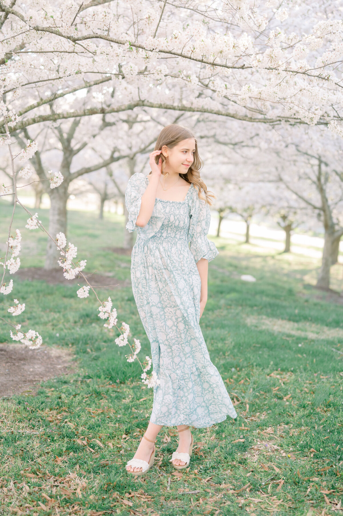 virginia-beach-cherry-blossoms-1
