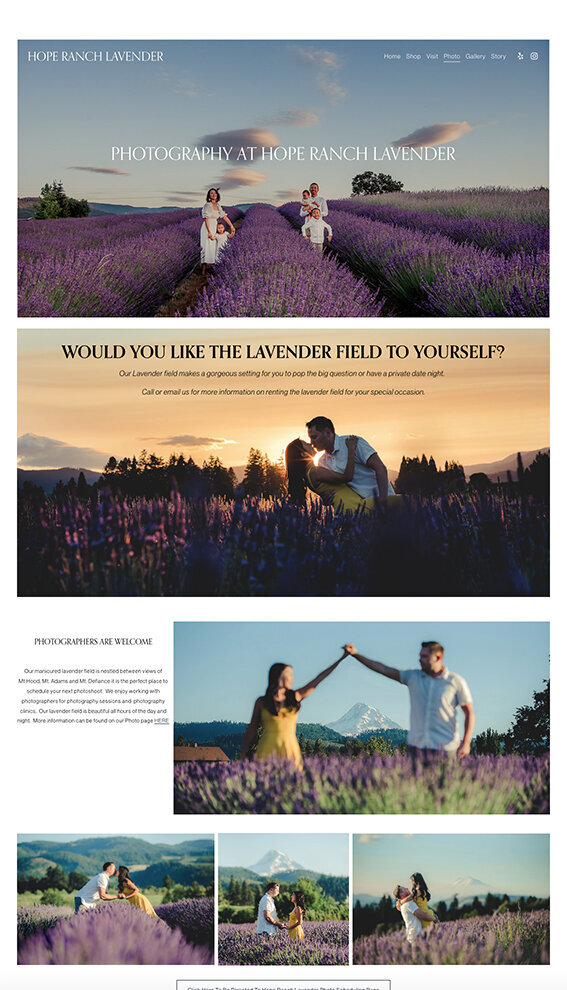 HopeRanchLavender