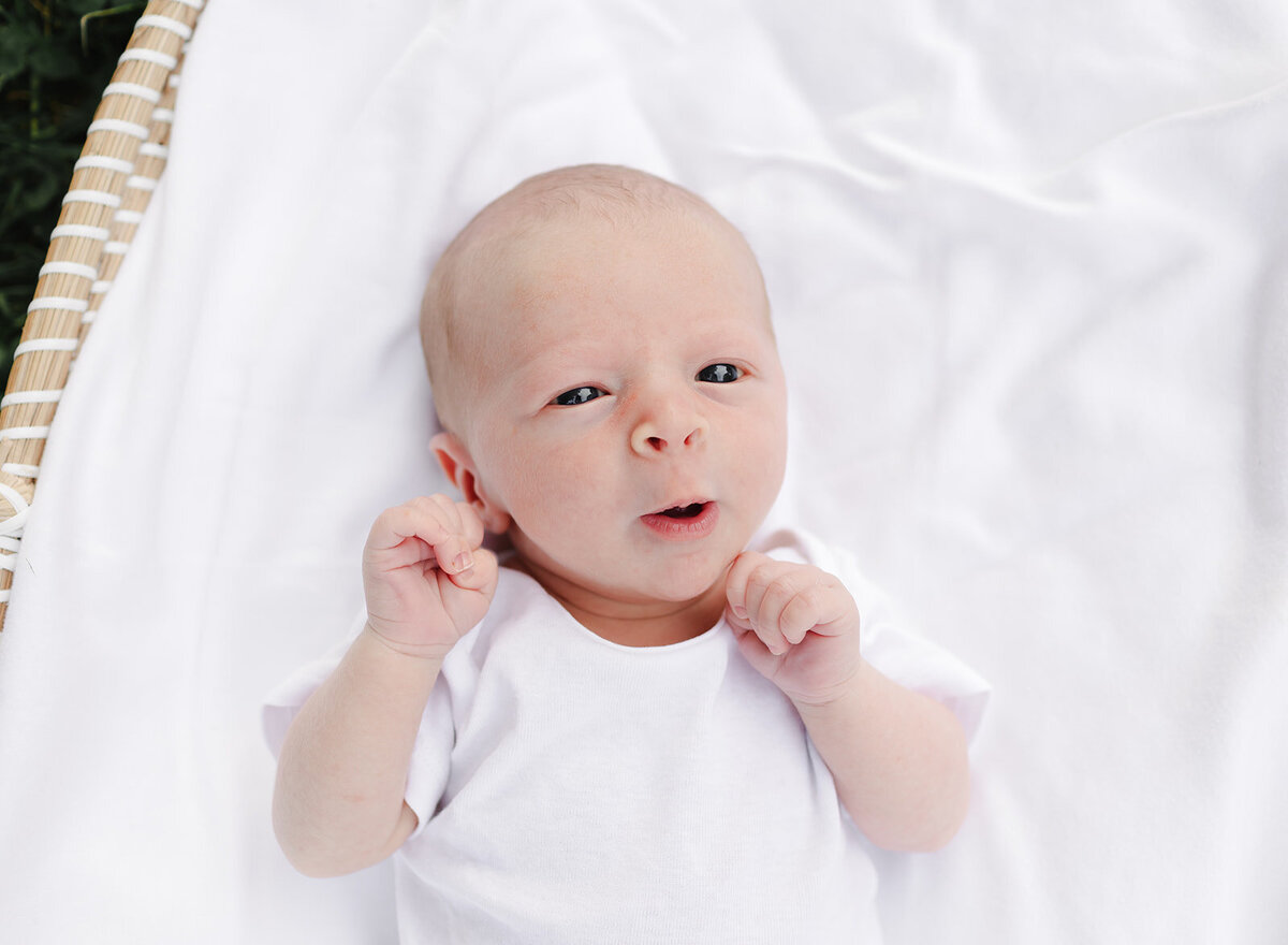 Baby Bentley_537_websize