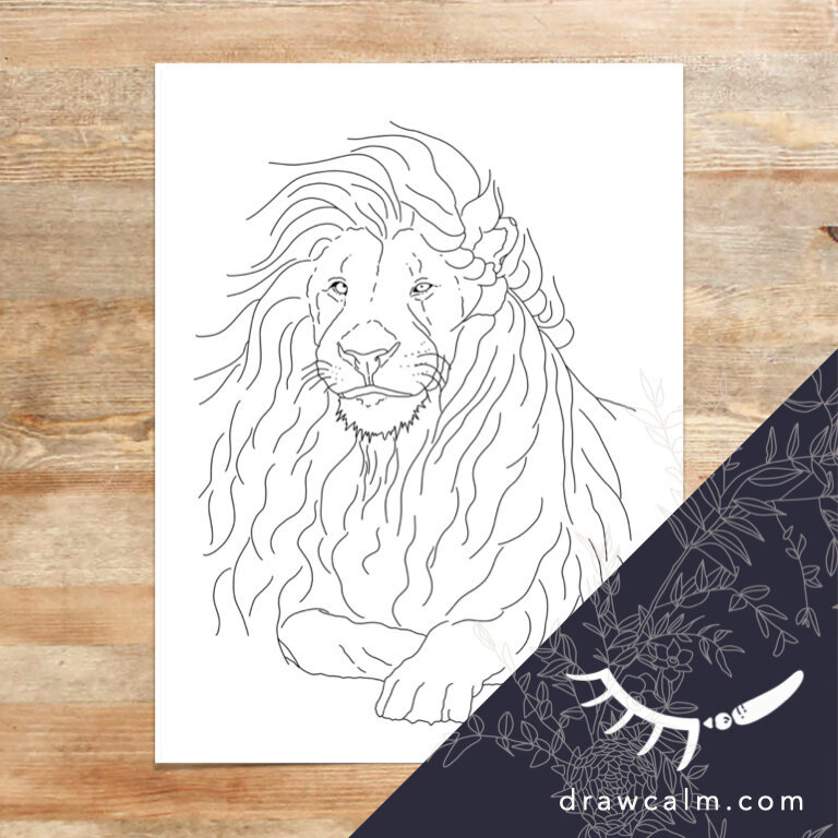 coloring-page-lion