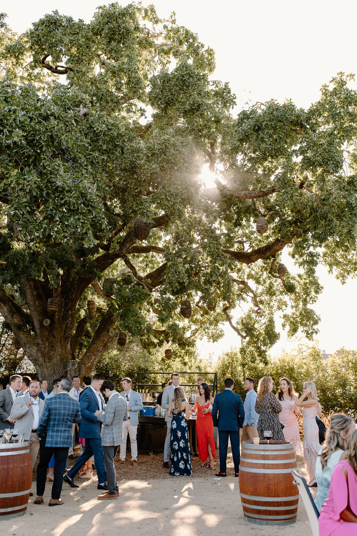 Hana-Jake_Wedding-Lodge-Sonoma_Hannah-Berglund-Photography-517