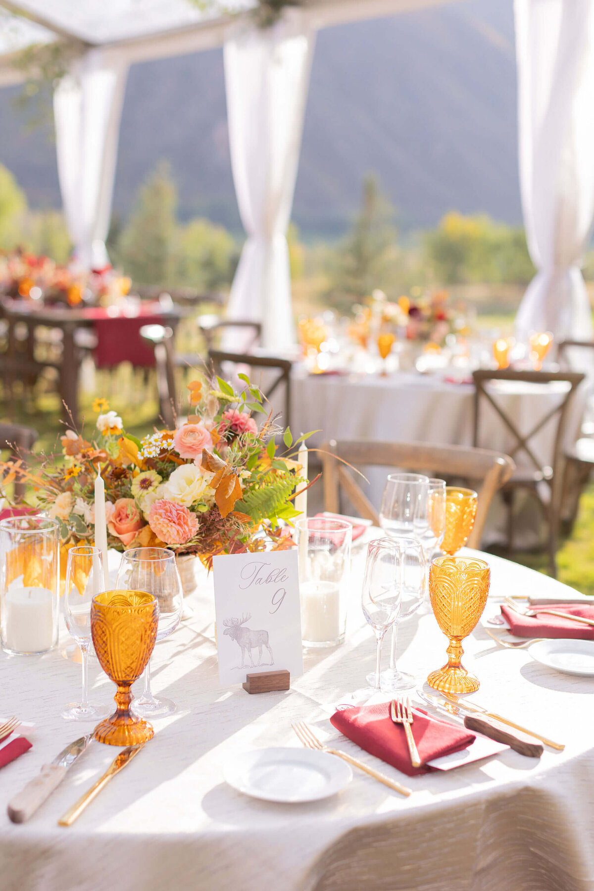 caitlin-david-roaring-fork-club-wedding-tent