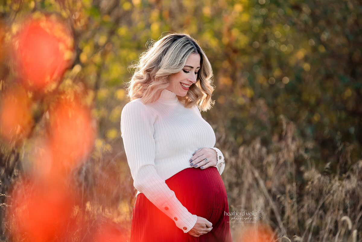 maternity photographer in Lafayette IN, maternity portraits in Lafayette IN, professional maternity photos