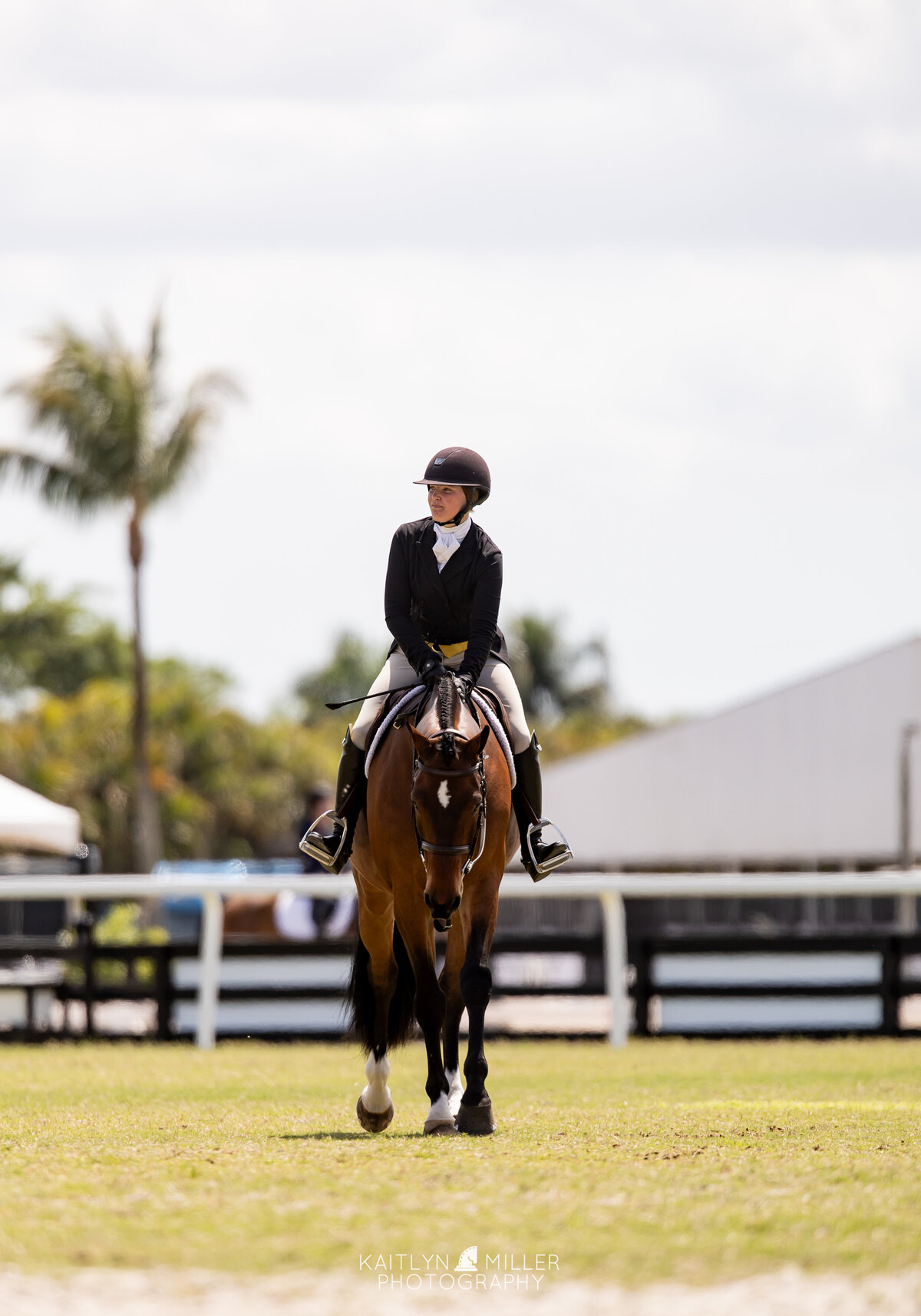 Photo Mar 22 2025, 12 28 00 AM