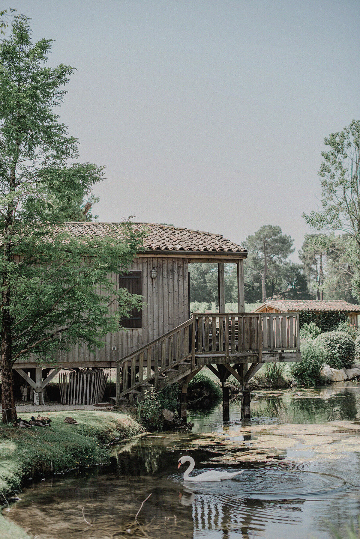Château Smith Haut Lafitte wedding