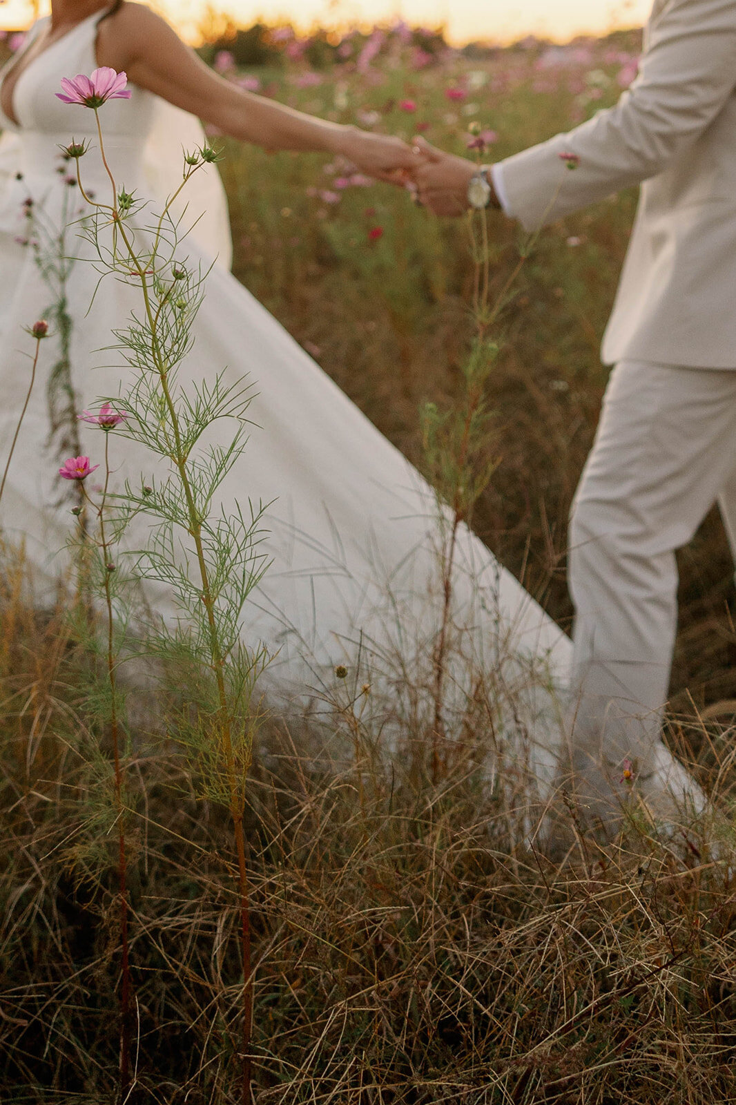 jackiesteele-158_websize